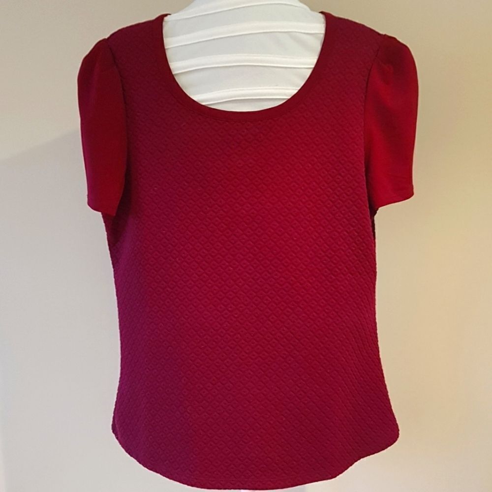 RICKI's NEW Gorgeous Mulberry Blouse Short Sleeve with  Back Zip * Large …